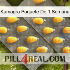 Kamagra 1 Week Pack cialis2